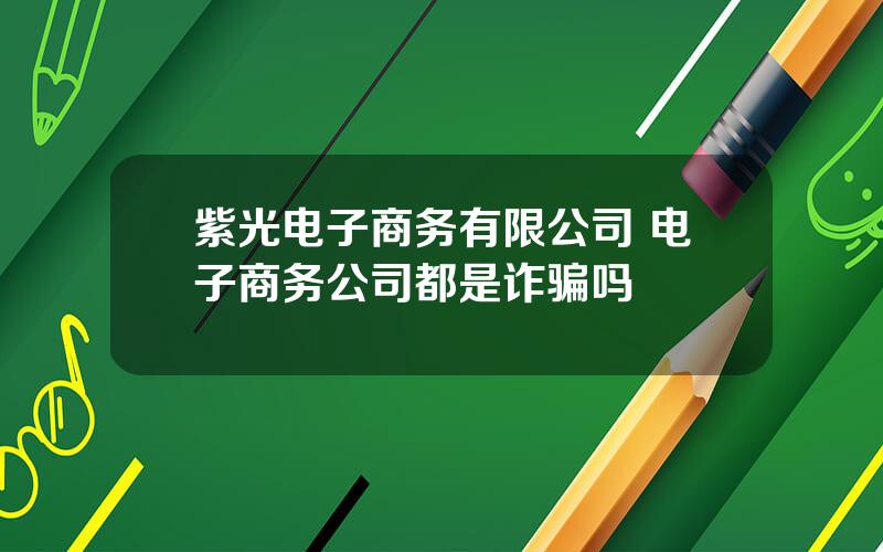 紫光电子商务有限公司 电子商务公司都是诈骗吗